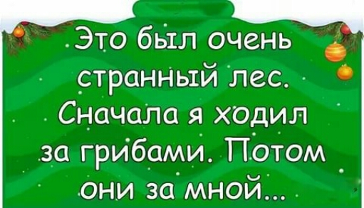 ЭТО бьхл очень страну дый лес СначаЛа я ходил з_а грибами Потом Они за мной