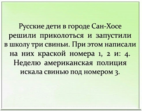 Русские дети в городе Сан Хосе решили приколоться и запустили в школу три свиньи При этом написали на них краской номера 1 2 и 4 Неделю американская полиция искала свинью под номером 3
