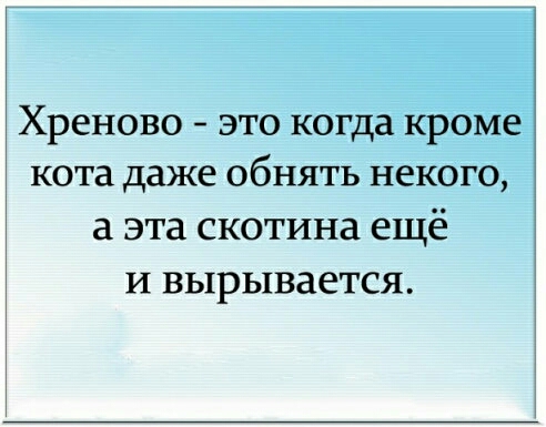 Хреново это когда кроме кота даже обнять некого а эта скотина ещё и вырывается