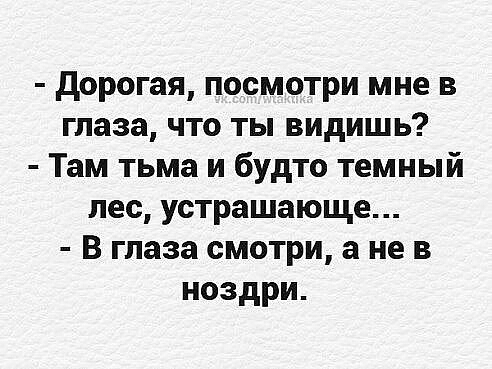 дорогая посмотри мне в глаза что ты видишь Там тьма и будто темный лес устрашающе В глаза смотри а не в ноздри