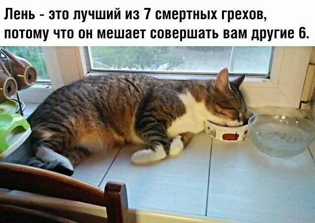 Лень это лучший из 7 смертных грехов потому что он мешает совершать вам ЦПУГИе 6
