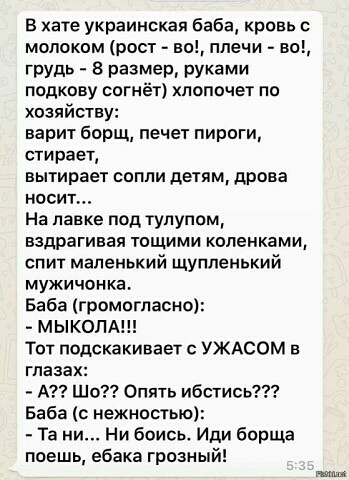 в хате украинская баба кровь с молоком рост во плечи во грУдь 8 размер руками подкову согнёт лопочет по хозяйству варит борщ печет пироги стирает вытирает сопли детям дрова носит На лавке под тупупом вздрагивая тощими коленками спит маленький щупленький мужичонка Баба громогласно МЫКОПА Тот подскакивает с УЖАСОМ в глазах А Шо Опять ибстись Баба нежностью Та ни Ни боись Иди борща поешь ебака грозны