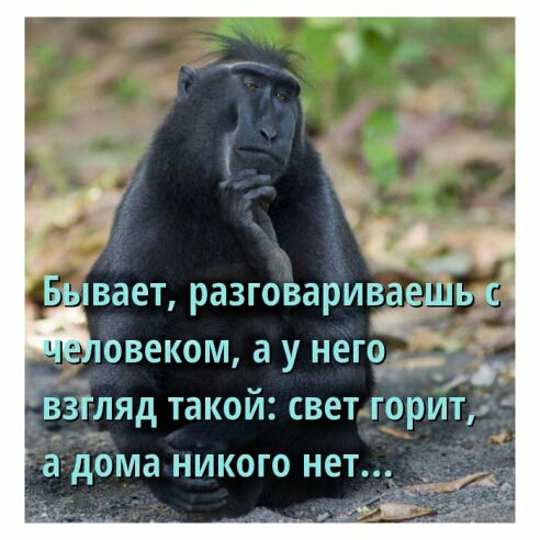 038К0М а У НЕГО _ _ ВЗГЛЯД ТЗКОЙ СВЕТ ГОРИТ а дома НИКОГО НЕТ __