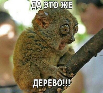 А гит ЖЕ дЕР Евощд К