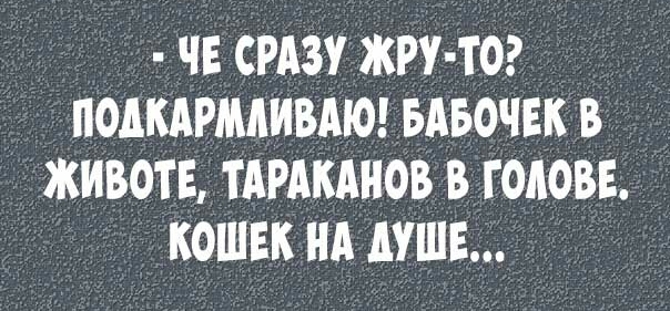 ЧЕ СРАЗУ ЖРУ ТО ПОДКАРМАИВАЮ БАБОЧЕК В ЖИВОЙ ТАРАКАНОВ В ГОАОВЕ КОШЕК НА АУШЕ