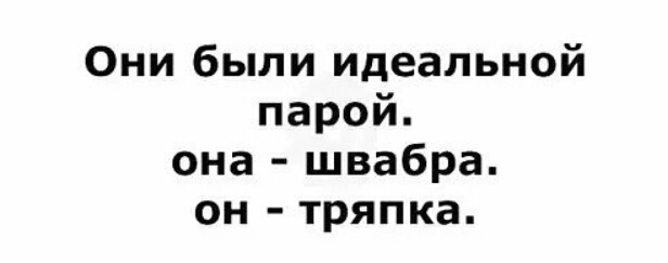 Они были идеальной парой она швабра он тряпка