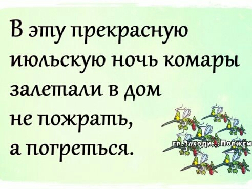 В эту прекрасную ИЮАъскую ночь комары гаметаки в дом не пожрать а погреться
