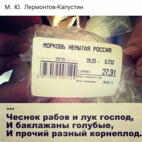 м Ю Лермонтов Капустин НПРКПБЬ НЕПН ТЯЯ РОССИЯ Чеснок рабов и лук господ И баклажаны голубые И прочий разный корнеплод