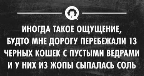 ИНОГДА ТАКОЕ ОЩУЩЕНИЕ БУдТО МНЕ дОРОГУ ПЕРЕБЕЖАЛИ 13 ЧЕРНЫХ КОШЕК С ПУСТЫМИ ВЕДРАМИ И У НИХ ИЗ ЖОПЫ СЫПАЛАСЬ СОЛЬ