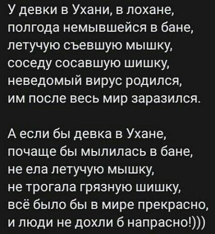 У девки в Ухани в лохане полгода немывшейся в бане летучую съевшую мышку соседу сосавшую шишку неведомый вирус родился им после весь мир заразился А если бы девка в Ухане почаще бы мылилась в бане не ела летучую мышку не трогала грязную шишку всё было бы в мире прекрасно и люди не дохли б напрасно