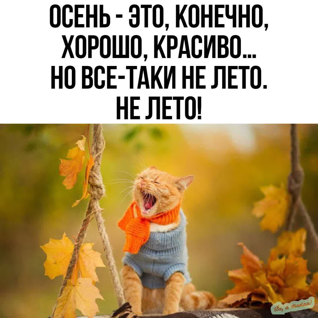 ОСЕНЬ ЭТО КОНЕЧНО ХОРОШО КРАСИВО НО ВСЕ ТАКИ НЕ ЛЕТО НЕ ЛЕТО