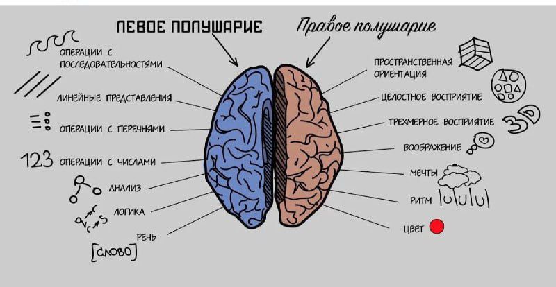 пввпв пппн при Лмдмпмдшдшд ШТ 3 др Щ