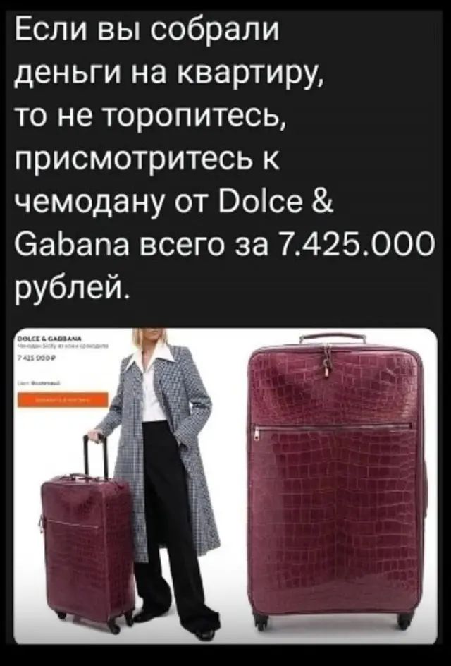 Если вы собрали деньги на квартиру то не торопитесь присмотритесь к чемодану от Росе Сабапа всего за 7425000 рублей