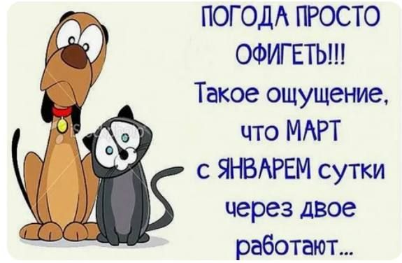 ПОГОДА ПРОСТО ОФИГЕТЬ!!!
Такое ощущение, что МАРТ с ЯНВАРЕМ сутки через двое работают...