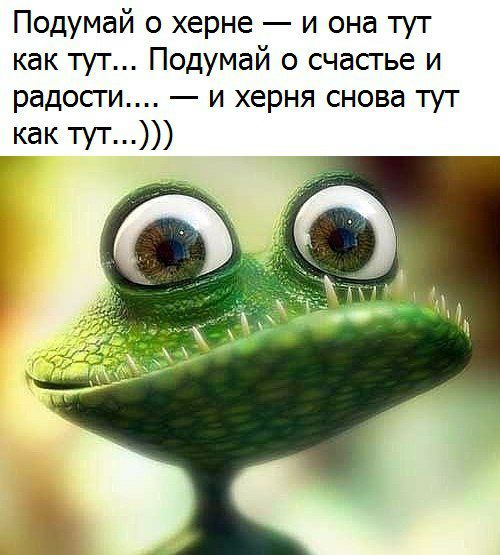 Подумай о херне и она тут как тут Подумай о счастье и радости и херня снова тут как ТУТ