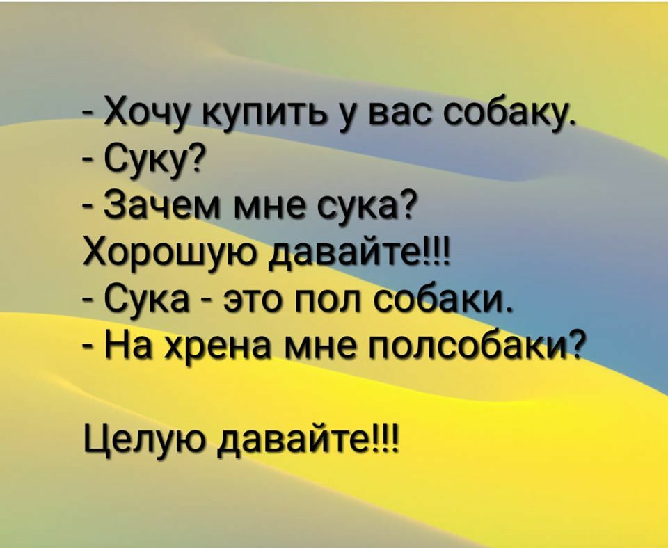 Хочу купить у вас собаку Суку Зачем мне сука Хорошую давайте Сука это пол собаки На хрена мне полсобаки Целую давайте