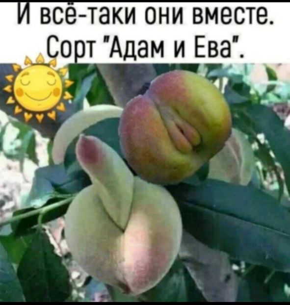 Й всёе таки они вместе орт Адам и Ева