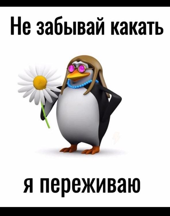 Не забывай какать я переживаю