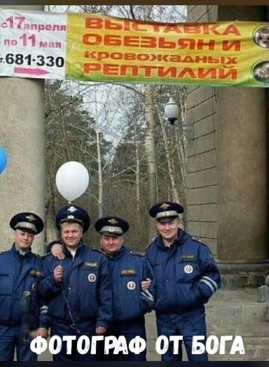 в еч а й о д ФОТОГРАФОТ БОГА