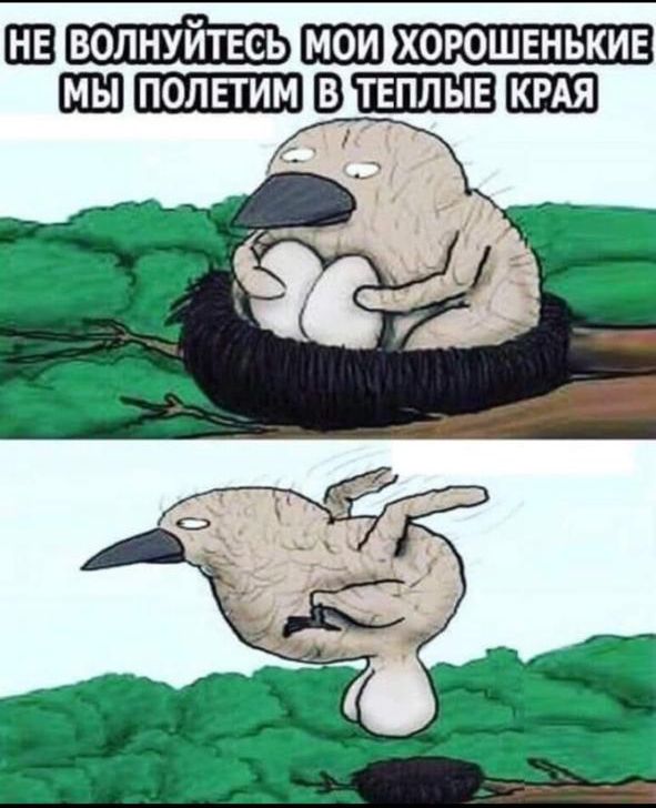 НЕ ВОЛНУЙТЕСЬ МОИ ХОРОШЕНЬКИЕ МЫ ПОЛЕТИМ В ТЕПЛЫЕ КРАЯ
