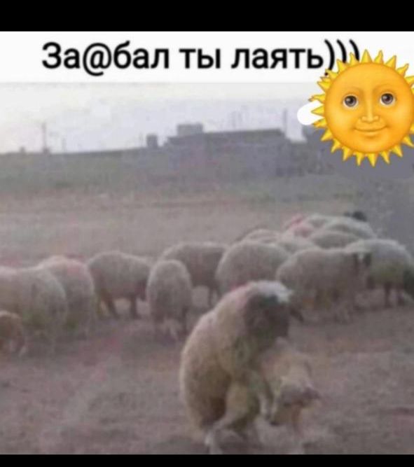 За@бал ты лять)))