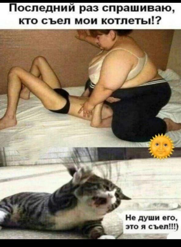 Последний раз спрашиваю, кто съел мои котлеты!? Не души его, это я съел!!!
