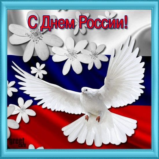 С Днем России!