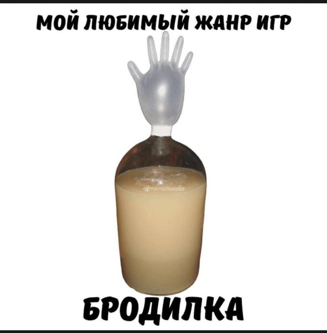 МОЙ ЛЮБИМЫЙ ЖАНР ИГР
БРОДИЛКА