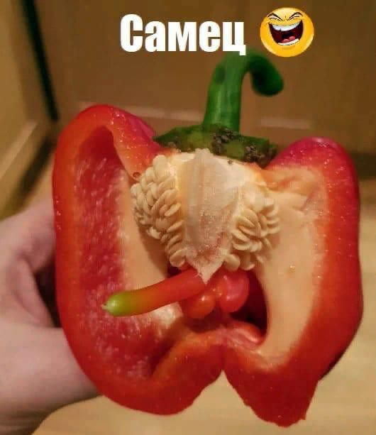 Самец