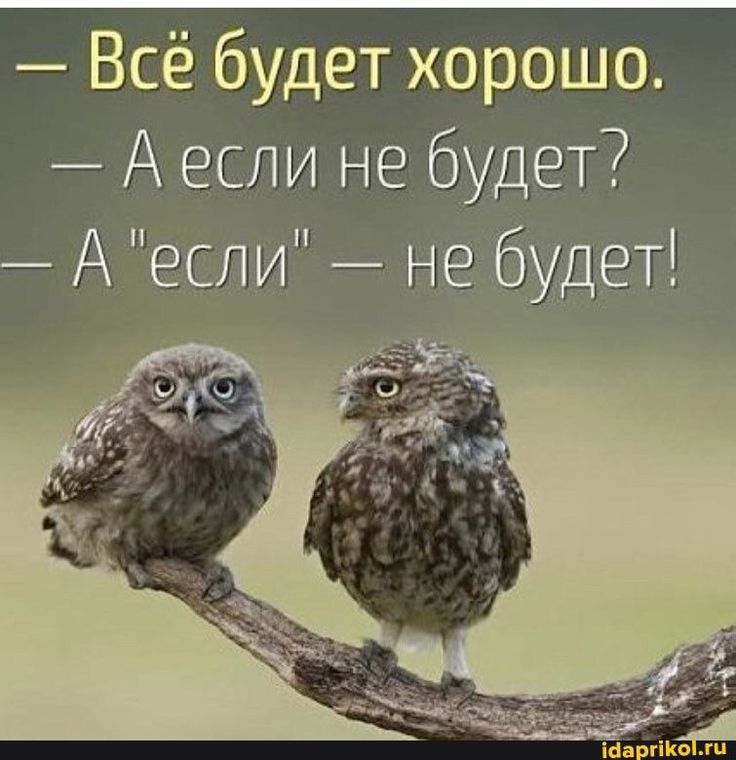 — Всё будет хорошо.
— А если не будет?
— А 
