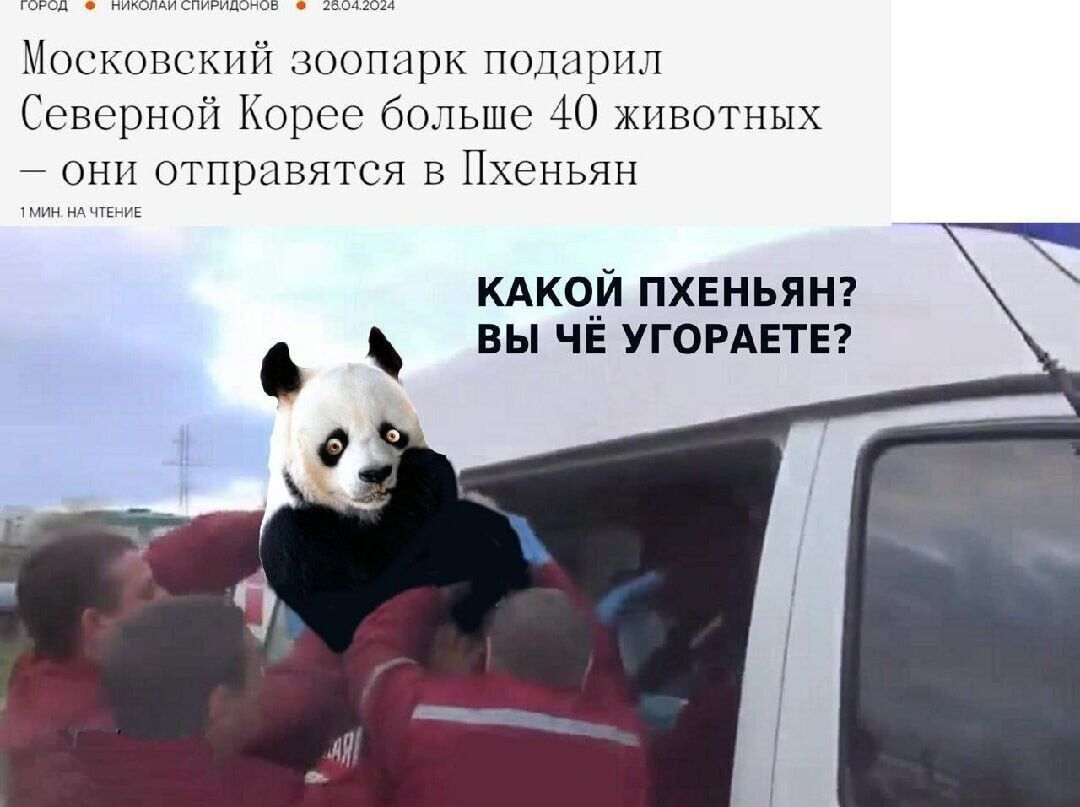 Мткоп ші опщж подарил Северной Корсо больше 40 мшотных отпрпвятсп в Нхсныш кдкои пхеньянт вы ЧЕ УГОРАЕТЕ