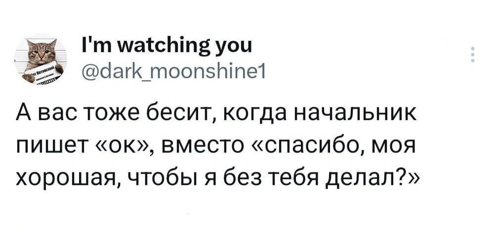 т улажсТтЕ уои да тоопеМпе А вас тоже бесит когда начальник пишет ок вместо спасибо моя хорошая чтобы я без тебя делал