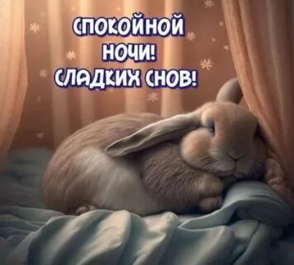 спокойной ночи! сладких снов!