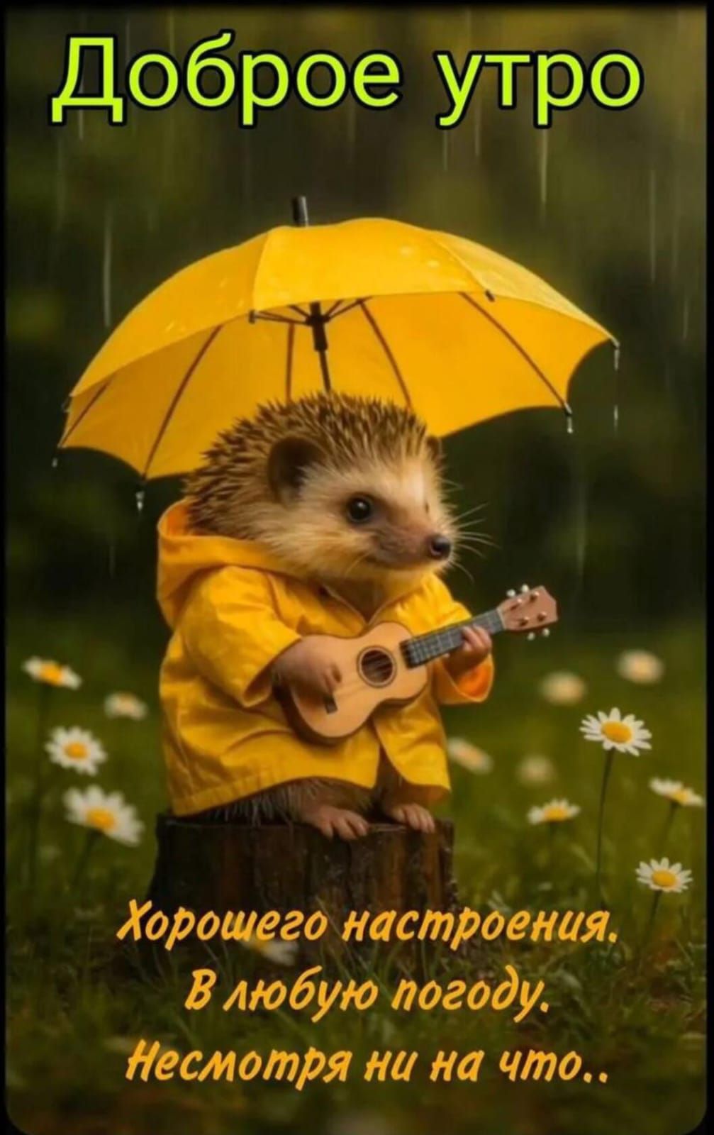 Доброе утро
Хорошего настроения.
В любую погоду.
Несмотря ни на что..