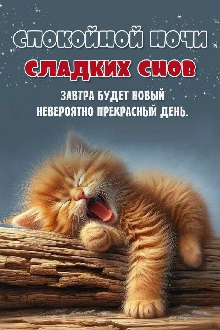 спокойной ночи сладких снов
завтра будет новый невероятно прекрасный день.