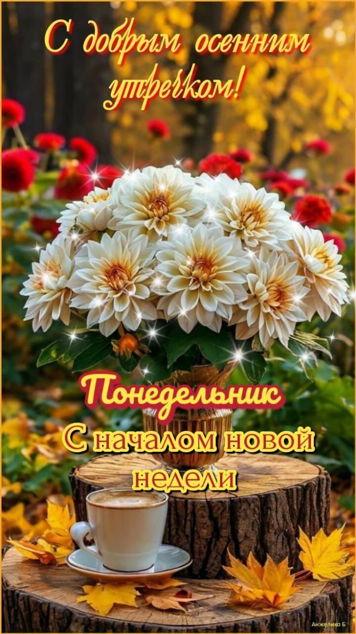 С добрым осенним утречком! Понедельник. С началом новой недели