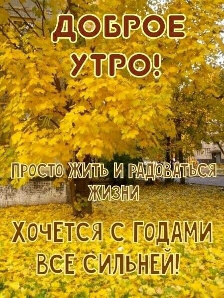 ДОБРОЕ УТРО! ПРОСТО ЖИТЬ И РАДОВАТЬСЯ ЖИЗНИ ХОЧЕТСЯ С ГОДАМИ ВСЕ СИЛЬНЕЙ!