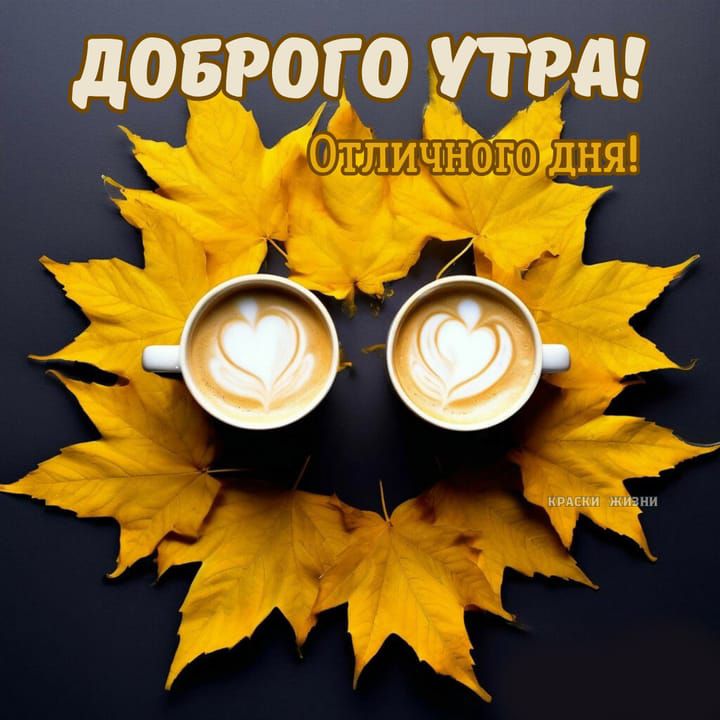ДОБРОГО УТРА! Отличного дня!