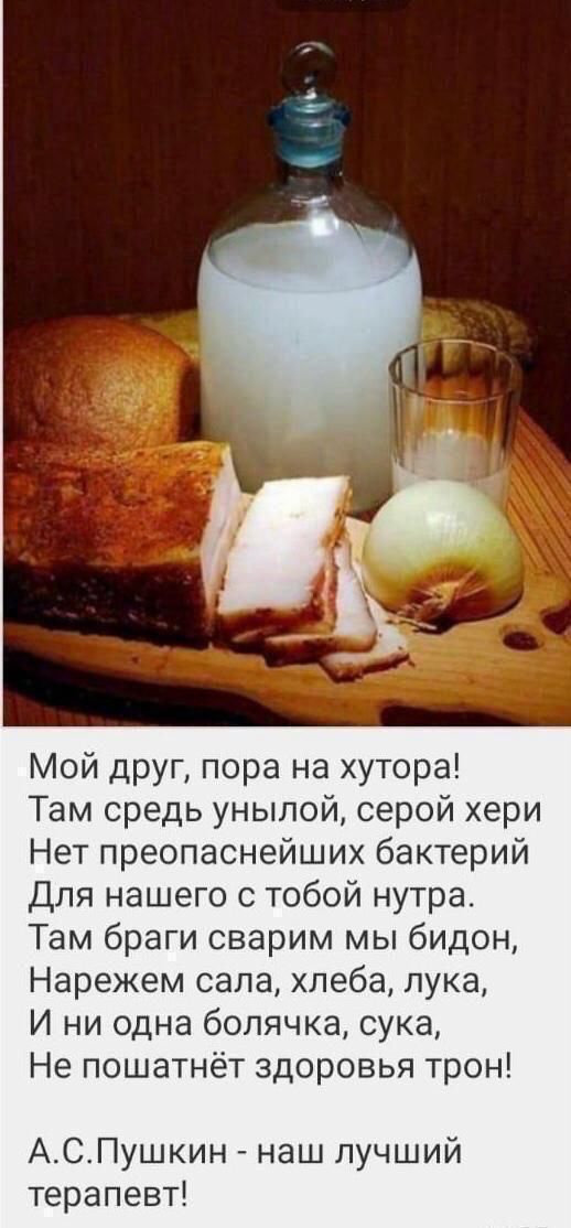 Мой друг, пора на хутор! Там средь унылой, серой хери Нет преопаснейших бактерий Для нашего с тобой нутра. Там браги сварим мы бидон, Нарежем сала, хлеба, лука, И ни одна больячка, сука, Не пошатнёт здоровья трон! А.С. Пушкин - наш лучший терапевт!