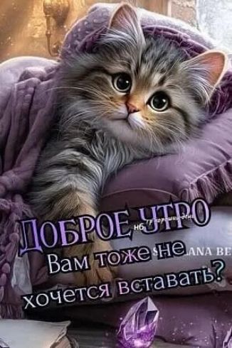 ДОБРОЕ УТРО Вам тоже не хочется вставать?