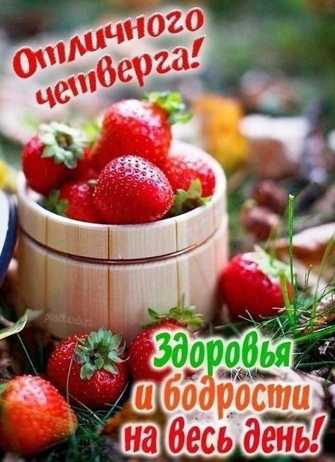 Отличного четверга!
Здоровья и бодрости на весь день!