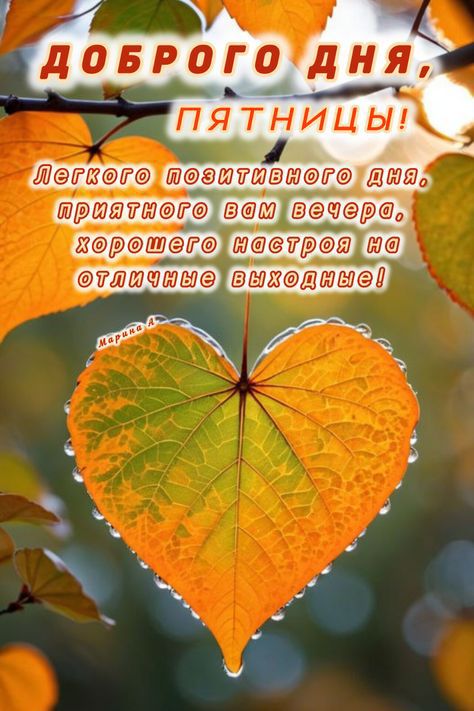 ДОБРОГО ДНЯ, ПЯТНИЦЫ! Легкого позитивного дня, приятного вам вечера, хорошего настроения на отличные выходные!