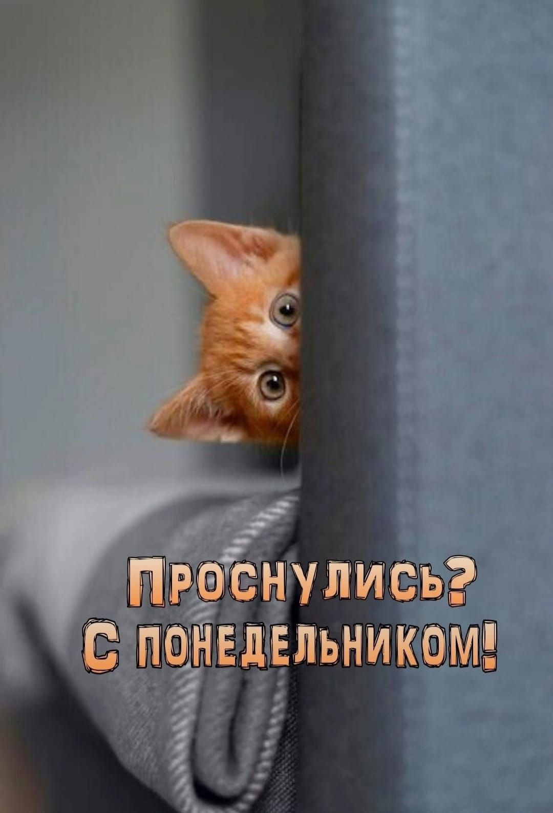 Проснулись? С понедельником!