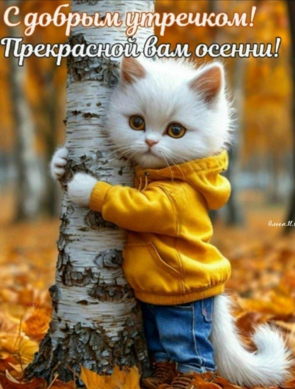 С добрым утречком! Прекрасной вам осени!