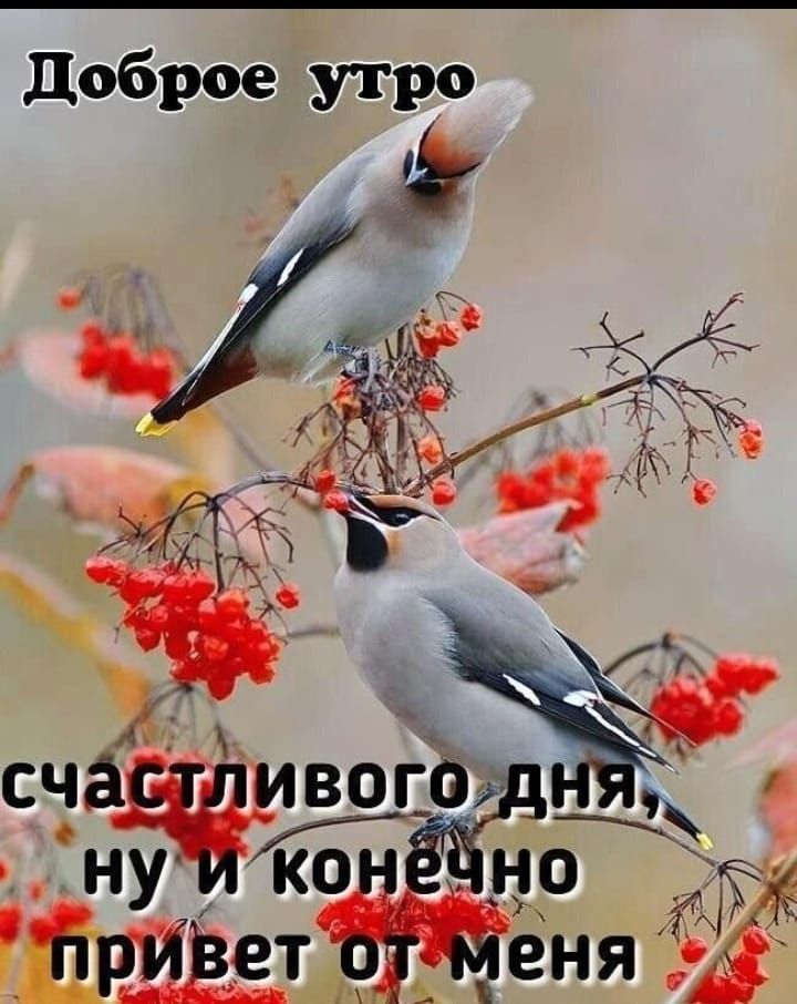Доброе утро
счастливого дня, ну и конечно привет от меня
