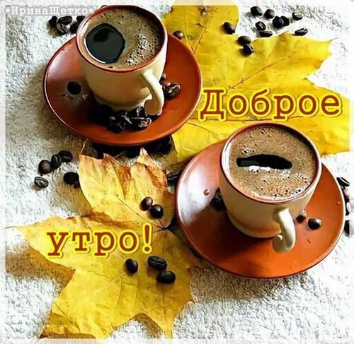 Доброе утро! Утро!
