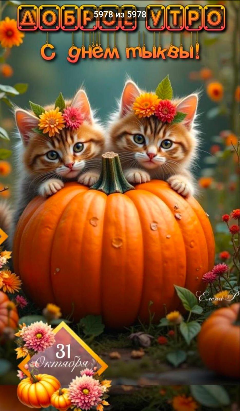 Доброе утро
С днём тыквы!
31 Октября
