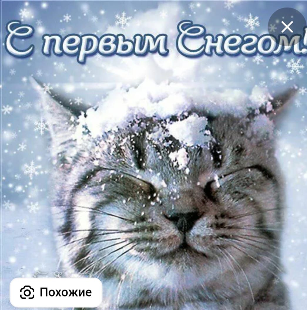 С первым снегом
