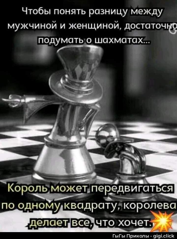 Чтобы понять разницу между мужчиной и женщиной, достаточно подумать о шахматах... Король может передвигаться по одному квадрату, королева делает все, что хочет.