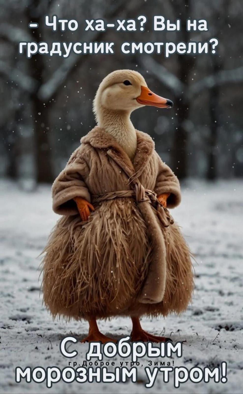 - Что ха-ха? Вы на градусник смотрели?\nС добрым морозным утром!